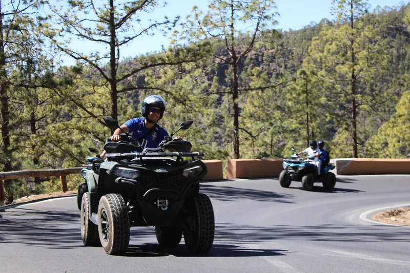 Riders posing with premium quad bikes in pine forest of Corona Forestal