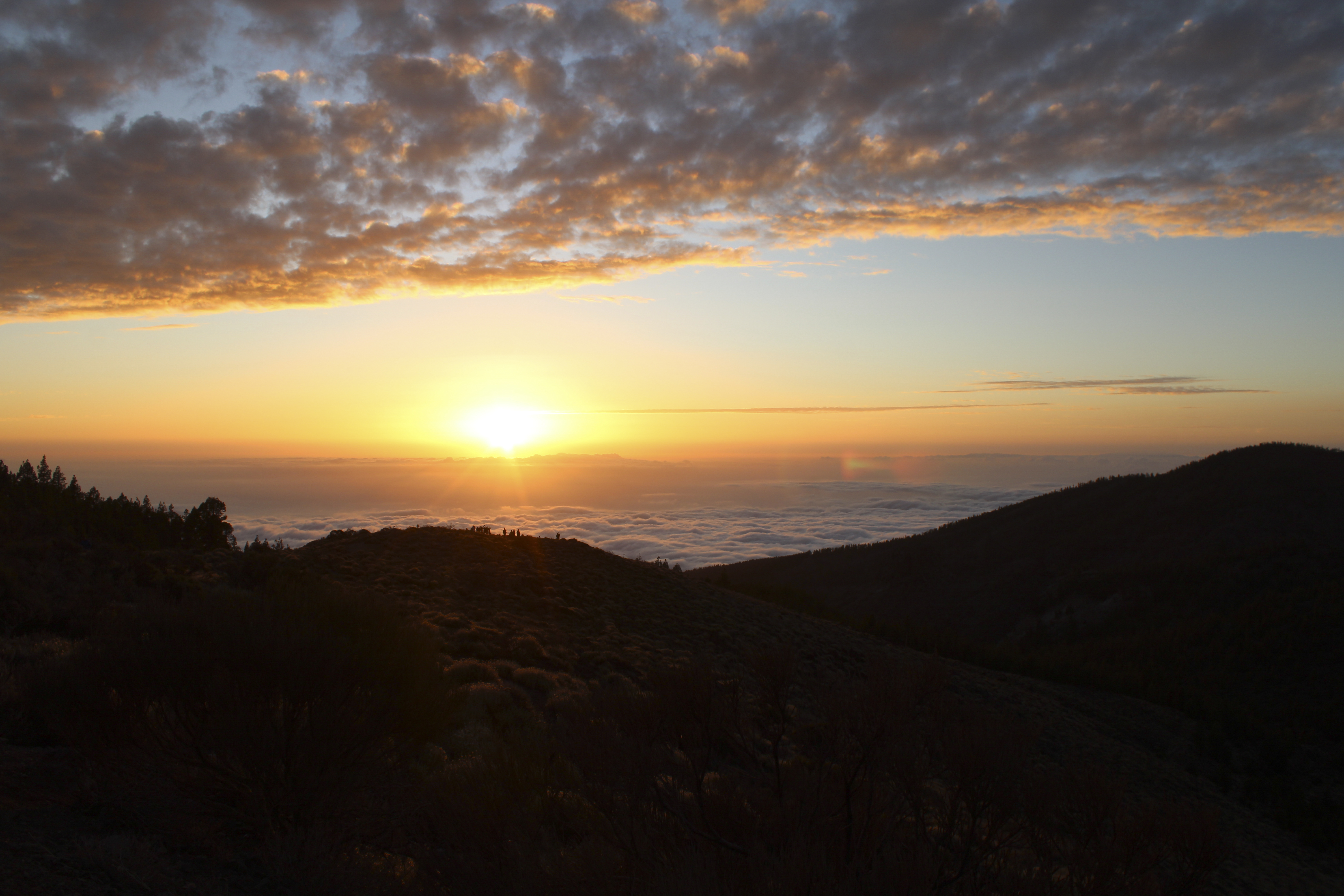 Sunset over pine forest during an off-road quad biking excursion